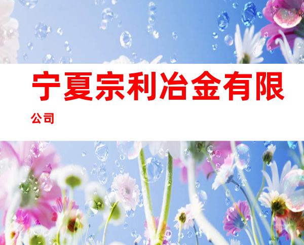 宁夏宗利冶金有限公司
